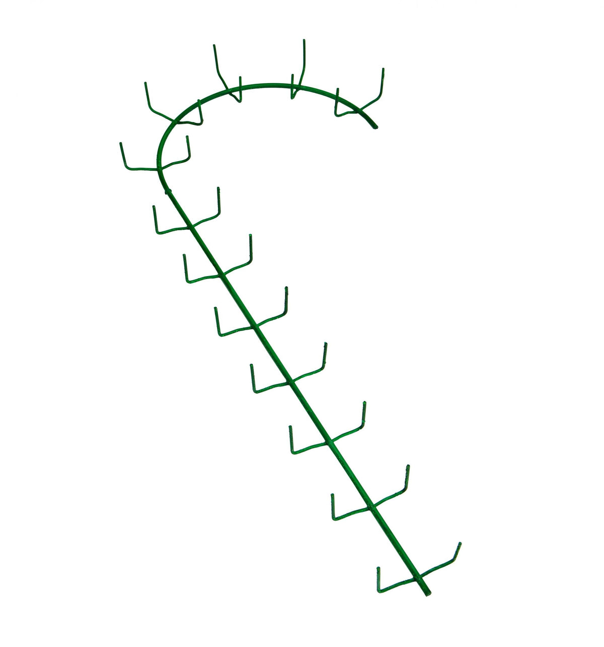 24″ Green Clamp Candy Cane - Right Hand